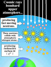 At its most basic level, carbon dating is the method of determining the age of organic material by measuring the levels of carbon found in it. Doesn T Carbon 14 Dating Disprove The Bible Answers In Genesis