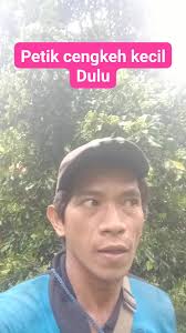 PETANI CENGKEH SULAWESI