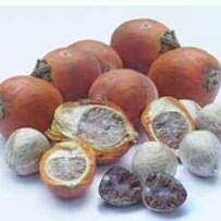 Berita buah pinang terbaru hari ini: Jual Beli Pinang Posts Facebook