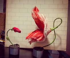Order trees, plants, and supplies online now. Papercraft Flowers From The Wall I Made Pinkfloyd