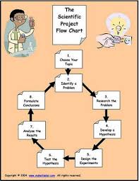 Function In Science Examples On A Flow Chart 5th Grade