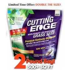 It provides you with a neat and tidy finish and can be chosen in many different styles to suit your personal taste. Does The Cutting Edge Grass Seed Really Produce A Beautiful Looking Lawn