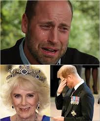 30 MINUTES AGO! Prince William Summons Harry Back in the Middle of the  Night After Kensington Palace Announces “A Tragedy Has Occurred”: “Sorry  for Keeping It from You…” 👇👇