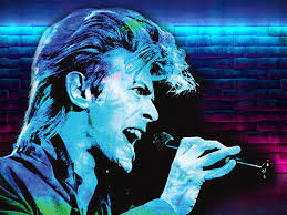 Mackay and Whitsunday Life