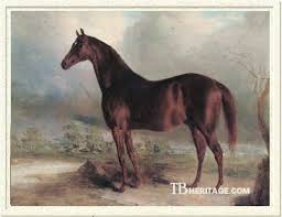 Image result for Grissette Brown Deep 1931 Lincoln