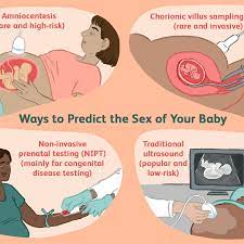 Facts And Myths About Predicting The Sex Of Your Baby