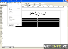 Inpage Urdu 2011 Free Download