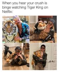 Murder, mayhem, and madness surely lives up to bored panda's compilation of tiger king memes is here to lift up your quarantined spirits big time. A Collection Of The Very Best Netflix S Tiger King Memes