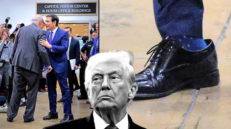 My Week: President Trump*