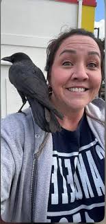 Has anyone had a friendly sea turtle follow them to shore?