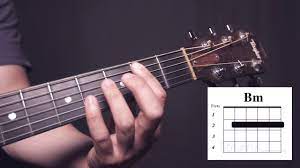 How To Play The Bm Chord Guitar Lessons Acoustic Guitar Pickup Guitar Pickups