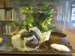 By drasaid at citysearch august 31, 2008 4 zookeeper. 10 Of The Strangest Stories Involving Exotic Pets