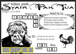 Togelpelangi Pelangi Teka Teki Gajah
