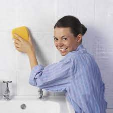 How To Clean Mold Without Bleach Hard Water Stain Remover Remove Water Spots Mold Remover