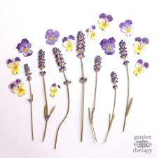 Pressed flowers make excellent craft project additions. Woodworking For Gardeners Make A Handmade Flower Press Garden Therapy