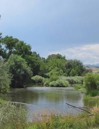 Theme: Invasive Species