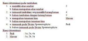 Jan 31, 2021 · contoh soal kunci determinasi tumbuhan dan jawabannya. Klasifikasi Makhluk Hidup Adalah Materi Yang Sering Keluar Di Uas Nusa Caraka