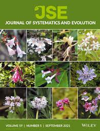 Image result for Monochoria africana