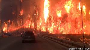 #alberta wildfires #british columbia wildfires #climate change. Alberta Wildfire Grows To 385 000 Acres