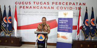 Hasil Rapid Test Dipakai Sebagai Rekomendasi Isolasi Mandiri Bnpb