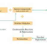 Does the dihydroxyacetone really work for self-tanning