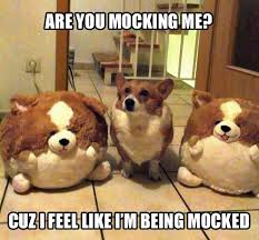 Well perhaps they could use a little weight hehe. 18 Funny Dog Memes That Will Make You Lol Dogexpress