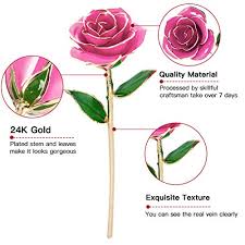 Why you should consider using artificial plants and flowers. Gold Rose 24k Artificial Flowers Dipped Rose Gold Plated Rose With Stand For Lover Mother Girlfriend Valentines Day Gold Dipped Rose For Her Pink Pricepulse