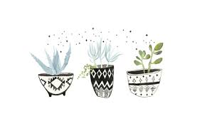 Choose from hundreds of free watercolor backgrounds. Succulent Aesthetic Desktop Wallpapers On Wallpaperdog