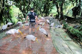 Hours, address, kuala lumpur bird park reviews: Kl Bird Park Visitor S Guide Review What To Expect