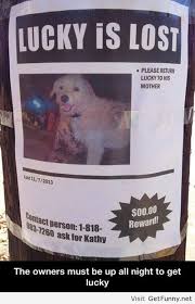 Lost Dog Quotes Quotesgram