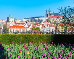 布拉格城堡春季的圖片