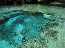 We have reviews of the best places to see in silver springs. Ocala National Forest History Culture