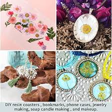 Maybe you would like to learn more about one of these? Buy Dried Pressed Flowers For Resin Real Natural Dried Flowers Leaves Bulk For Epoxy Resin Molds Diy Coasters Jewelry Scrapbooking Candle Making Online In Vietnam B0951hc6dj