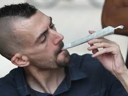 Windsor Marijuana advocates celebrate homecoming of Marc Emery