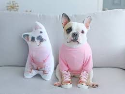 The clarity of your image on the pillow will reflect the quality of the photograph provided. Personalized Dog Picture Pillow With Your Dog S Picture On It Pawjoy