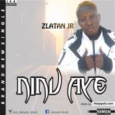 I heard him say i earned good money off his name. Zlatan Jr Songs Lyrics Nigerian Music