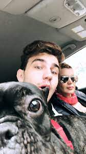 selfcary sf adli kullanicinin youtuberler panosundaki pin guven