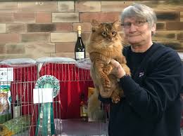 A wonderful day for Somalis at the Asian Group Cat Society Show 21/09/19 &  a BEST IN SHOW win!