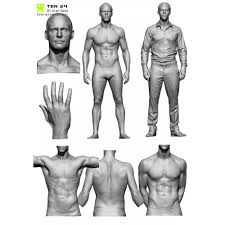 Just like female sexual anatomy, all penises look different. Male Anatomy Bundle 01