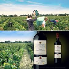 Chateau Conde Boribeille Dans La Region Bordelaise En Appellation Saint Estephe Saint Gironde Et Vigne
