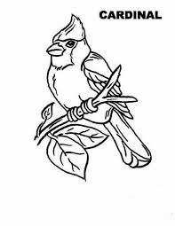 Set off fireworks to wish amer. 37 Best Cardinal Bird Coloring Pages Ideas Bird Coloring Pages Coloring Pages Cardinal Birds