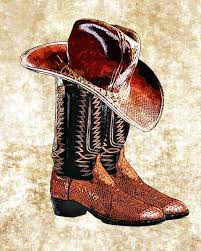 Snake Skin Cowboy Boots Cowboy Hat Png Clip By Digitalgraphicsshop 1 75 Bilder Kort