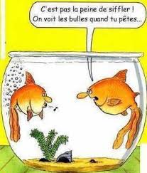 Suzan Jones Dessin Humour Images Droles Poisson D Avril Humour