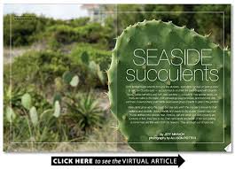 East coast camo long sleeve. Seaside Succulents Wrightsville Beach Magazine