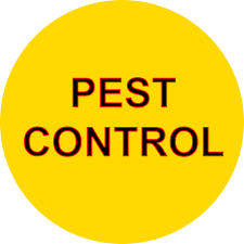 This is a placeholder for the yext knolwedge tags. Diy Do It Yourself Pest And Weed 972 769 7378