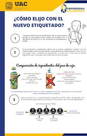 Se busca que sea una dieta: Universidad Autonoma De Campeche Programa Universidad Saludable