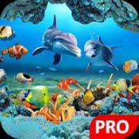 Puppy love (4.60) brit arranges the charity carwash at the firehouse. Fish Live Wallpaper 3d Aquarium Background Hd Pro 1 1 Apk Full Paid Latest Download Android