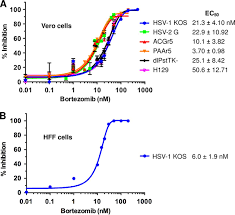 An immunoglobulin g (igg) blood test is used in the diagnosis of herpes simplex virus (hsv) infection. Early Steps In Herpes Simplex Virus Infection Blocked By A Proteasome Inhibitor Mbio