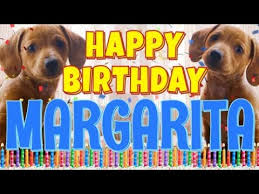 Maybe you would like to learn more about one of these? Happy Birthday Margarita Funny Talking Dogs What Is Free On My Birthday Youtube