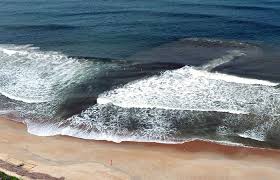 The Riddle of Rip Currents – Woods Hole Oceanographic Institution
